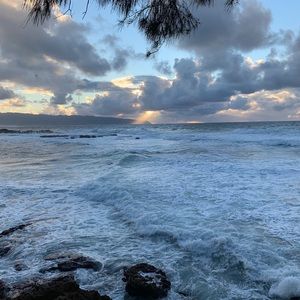 Meet your Posher, Marnie